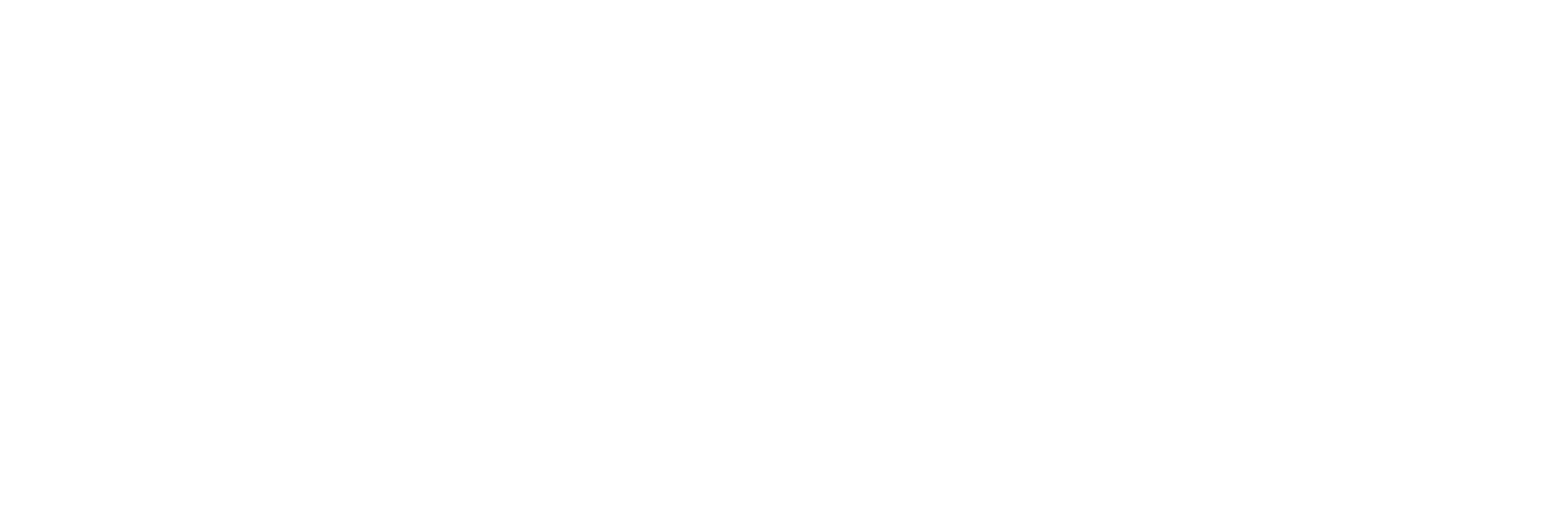 Eaglessoft