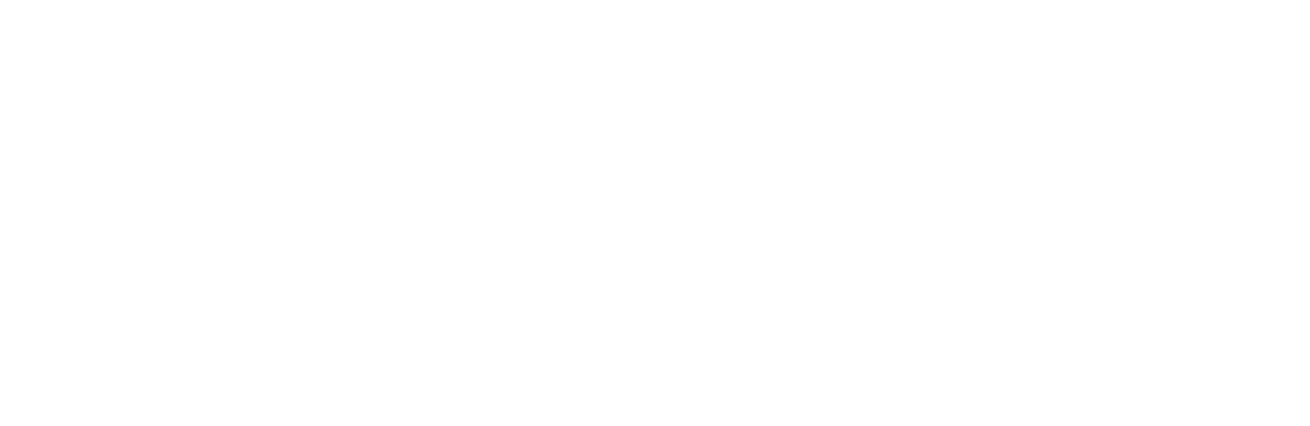 Eaglessoft