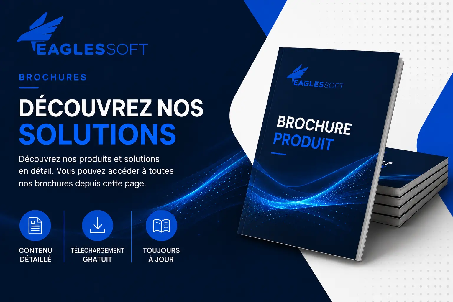 Visualsoft Brochure.pdf Brochures: E-Invoicing & Compliance Documents - Eaglessoft